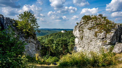 Skały Góry Zborów na Wyżynie Krakowsko-Częstochowskiej w Podlesicach © Franciszek