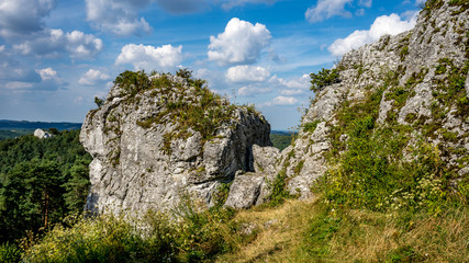 Skały Góry Zborów na Wyżynie Krakowsko-Częstochowskiej w Podlesicach