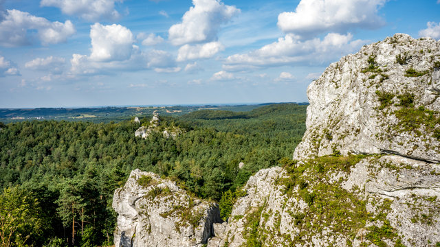 Skały G&oacute;ry Zbor&oacute;w na Wyżynie Krakowsko-Częstochowskiej w Podlesicach