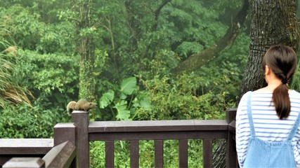 A squirrel stays motionless on a wooden railing in a park as a girl looks on warily