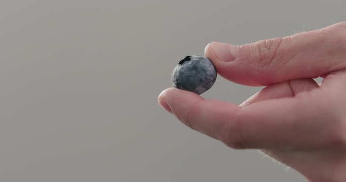 Slow motion man hand show ripe blueberry closeup