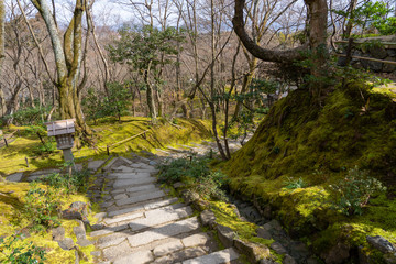 The path of moss at Jōjakkōji Temple in Arashiyama, Kyoto