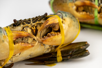 Close up raw fresh crab isolated on white background