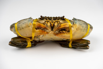 Raw fresh crab isolated on white background