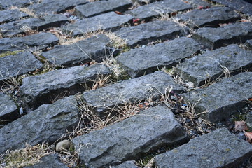 Fototapeta na wymiar Dark colored bricks line a sidewalk.