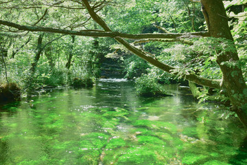 上高地　清水橋