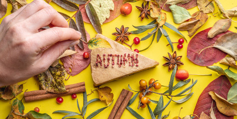 Hand is decorating a piece of mousse cake with the word autumn, lined with dried berries. Yellow leaves and berries lie nearby. Concept of the time of year