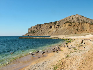 Fototapeta na wymiar Seagulls on an empty beach on a background of rocks