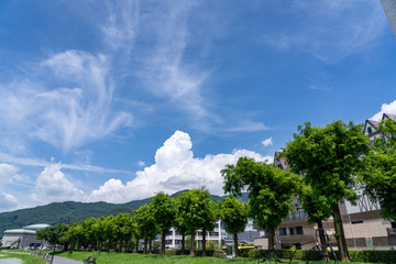 夏の諏訪湖湖畔