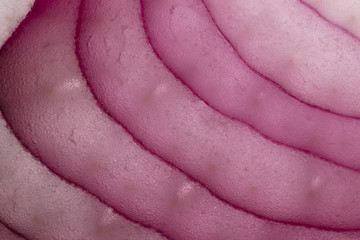 Red onion background. macro section of sliced red onion