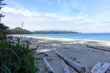 A gorgeous seascape view of the sandy beaches of Cape Scott Provincial Park, Vancouver Island, British Columbia, Canada.