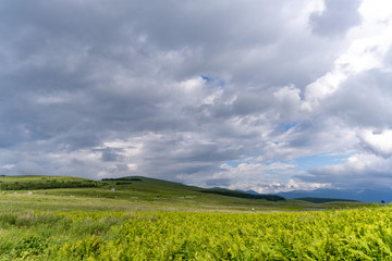 霧ヶ峰高原の景色