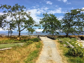 A gravel walking path with a dog walking down with beautiful trees and the ocean in the background, and blue sky, on Newcastle Island, outside Nanaimo, British Columbia, Canada