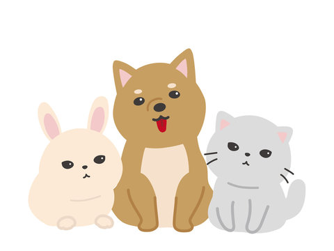 241 Best 白うさぎ Images Stock Photos Vectors Adobe Stock 241 Best 白うさぎ Images Stock Photos Vectors Adobe Stock