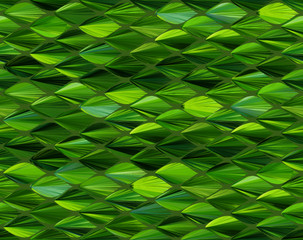 Leaf shape or oval shape fill in with the centric oblique line, the total color is graded from dark green to yellow-green. The artwork looks like a snake scale, fish scale, or parrot feather. © PixaOZ
