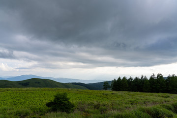 Obraz premium 夏の車山高原
