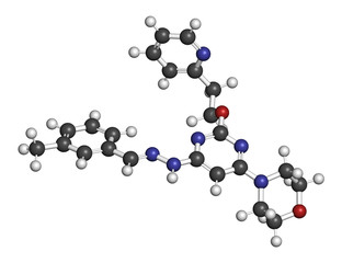 Apilimod drug molecule (PIKfyve inhibitor). 3D rendering. Atoms are represented as spheres with conventional color coding: hydrogen (white), carbon (grey), nitrogen (blue), oxygen (red).