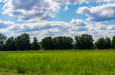 Obraz premium eine Landschaft im Spreewald