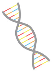 シンプルなDNAのイラスト