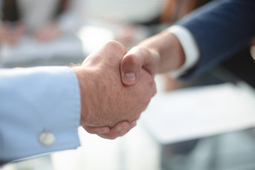 Obraz na płótnie Canvas Businessmen shaking hands during a meeting