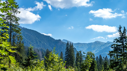 Tatry Zachodnie, widok z Doliny Chochołowskiej