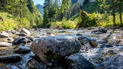 górski potok w Dolinie Chochołowskiej, Tatry Zachodnie, Polska © Franciszek