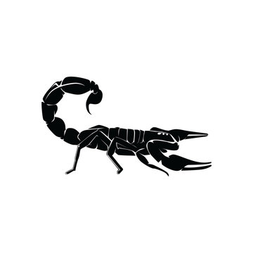 Scorpio Logo Template Design Vector