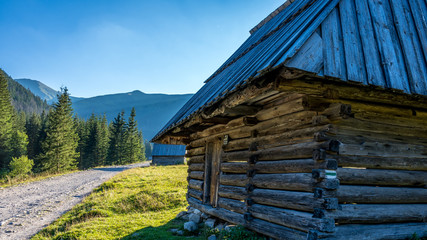 Szałas drewniany na Polanie Chochołowskiej w Tatrach Zachodnich.