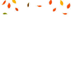 Falling autumn leaves. Red, yellow, green, brown r