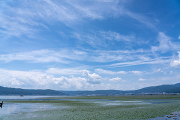 Fototapete bei efototapeten.de bestellen   