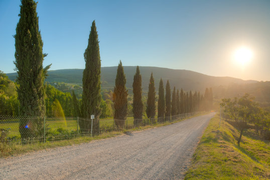 chemin de terre longer d'If commun prolonger du soleil couchant