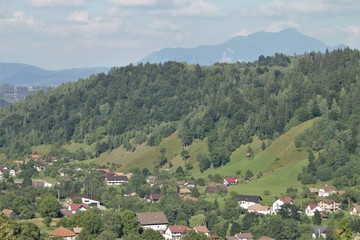 Fototapeta na wymiar Village on Carpathian Mountain