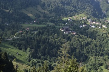 Fototapeta na wymiar Part of Carpathian Mountain with Houses, Forest
