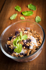 a bowel of musli , blue berrys and yogurt