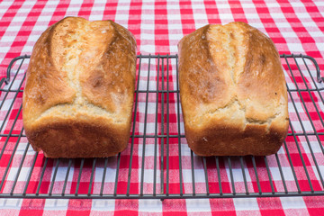 Fresh baked sourdough bread 