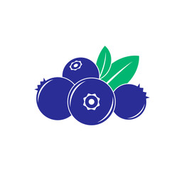Fresh blueberry on white background eps 10 vector illustration.