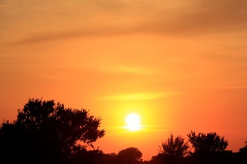 Kansas Sunset with tree's and a colorful sky out in the country.