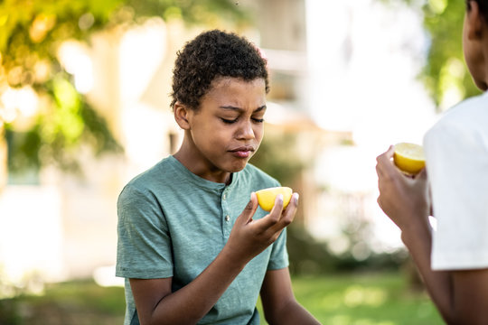 Two boys are eating a lemon on a beautiful sunny day in nature, looking down