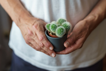 Mann über 40 mit einem kleinen Kaktus Blumentopf in seinen Händen. Nahaufnahme, stackelig,...