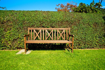 Bench in a garden with a hedge