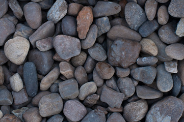 Fototapeta na wymiar Stones on the beach. Texture from sea stones.