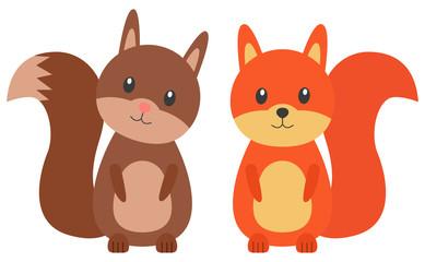 eichhörnchen braun und orange vektor set