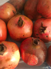 Pomegranate fruit from top angle showing its ends.