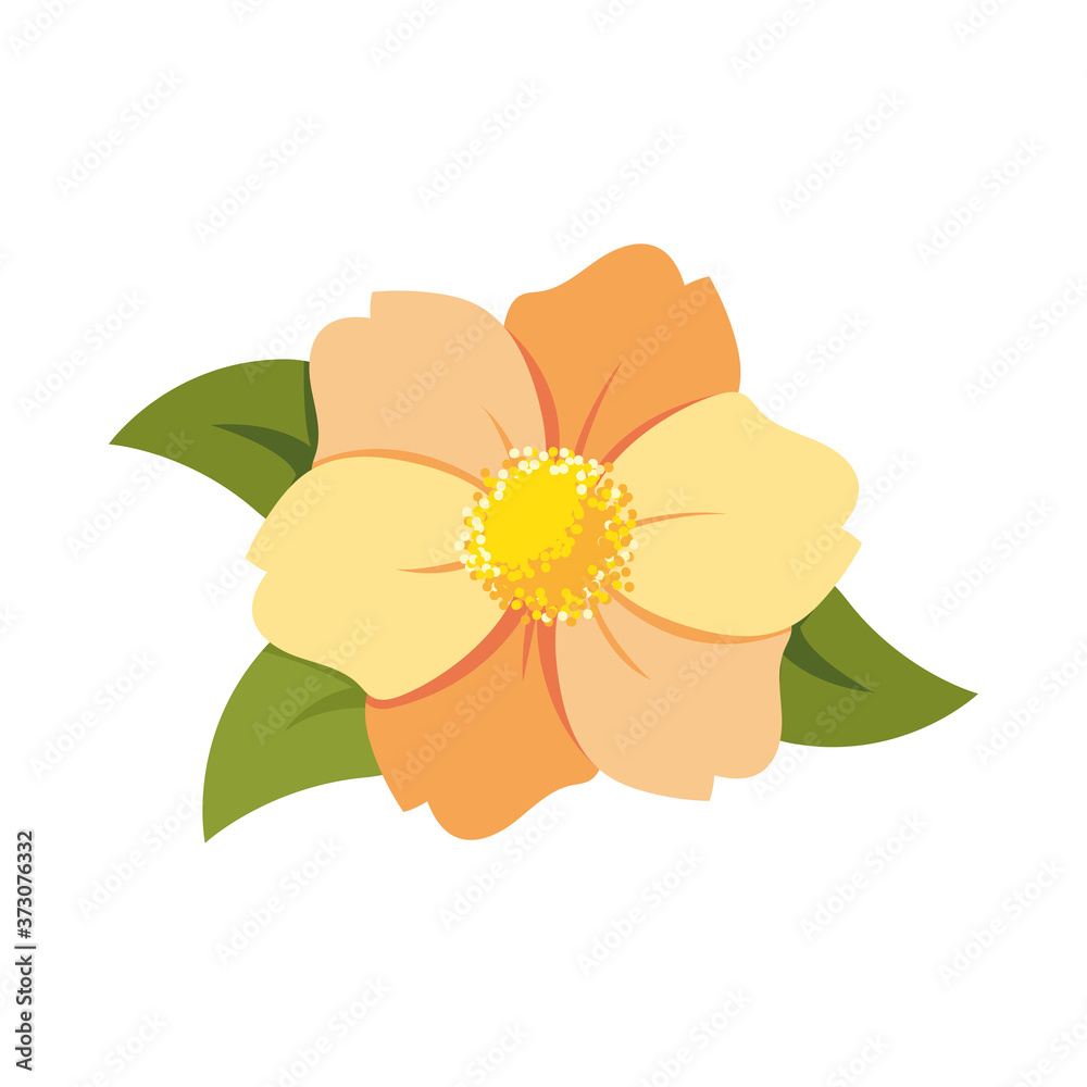 Wall mural orange flower with leaves vector design