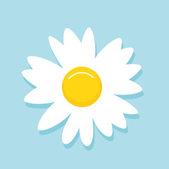 Daisy flower icon on blue background vector.