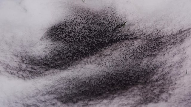 Diesel car start engine with big amount of smoke. Leaving black sign on the snow. Ecology problem with cars. close up