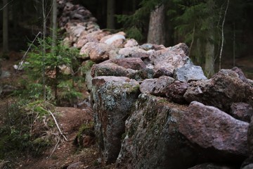 Forest stone fence of wild stones surrounded by old firs