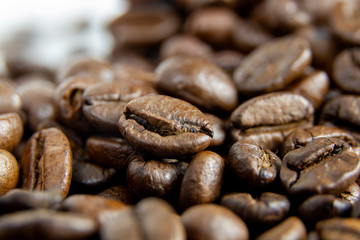 Detail of brown coffee beans on white background
