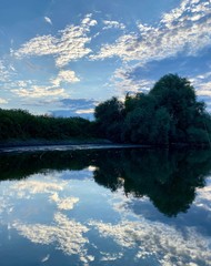 reflection of trees in water