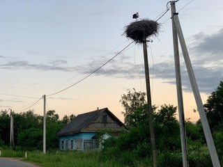 windmill in the countryside
